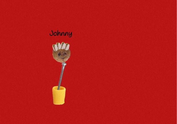 Johnny